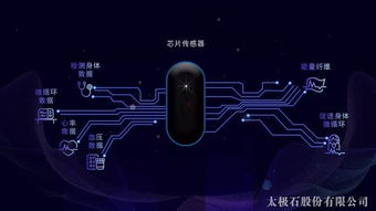 太極石纖維與智能科技融合，開啟品牌升級新篇章